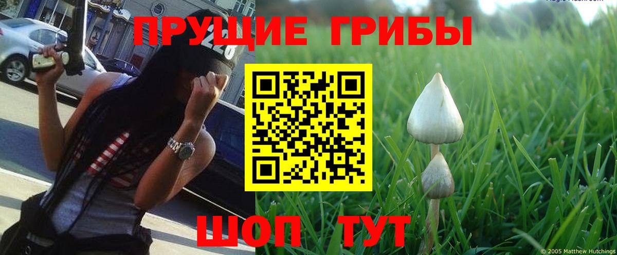 Псилоцибиновые грибы мухоморы  Вход с VPN  Кувандык 
